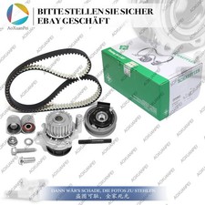 KIT CINGHIA DENTATA ININA per