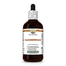 Bladderwrack fucus - bladderwrack, (fucus
