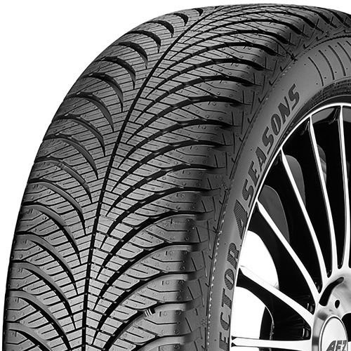 Goodyear vector seasons - goodyear,
