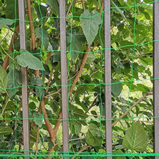 Rete per piante da giardino