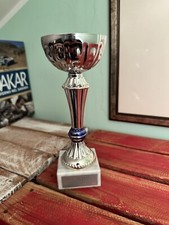 Trofeini Boxe Karate Judo Kick