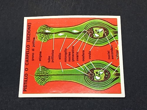 Scienze figurina 65 - (1972), n.65
