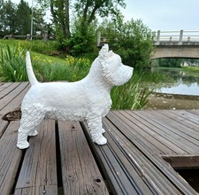 West Highland White Terrier