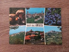 Cartolina SALUTI DALL'AMIATA Monte Amiata Multiveduta Ripartita  NVG FG A Colori