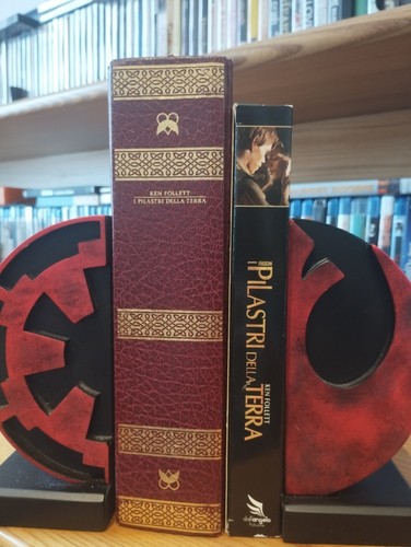 Pilastri della terra - i, libro