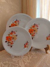 6+6+1 Piatti Porcellana Vintage Tognana