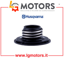 VITE POMPA OLIO  MOTOSEGHE