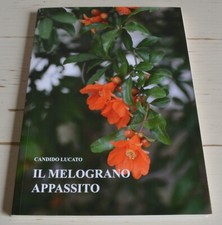 CANDIDO LUCATO IL MELOGRANO