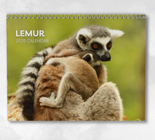 Calendario Lemure 2026