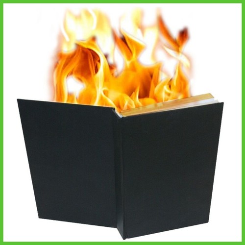 Libro fiamme giochi - libro,