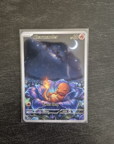 Charmander custom fan art - fan, |
