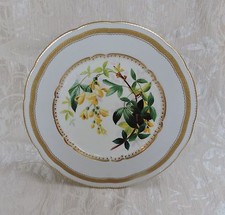 W.T. Piatto Copeland 24 cm dipinto a mano con Laburnum c1880