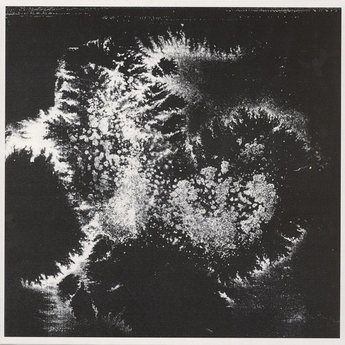 Vera dvale psykovarius - &,