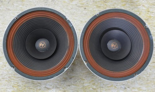 Coppia driver altoparlanti