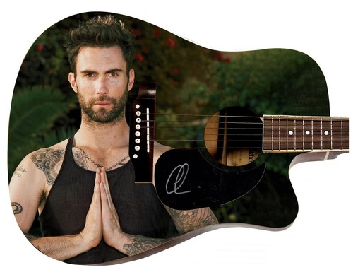 Chitarra acustica zen graphics - chitarra,