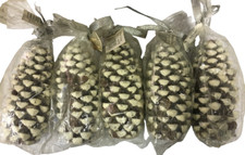 Kit 5 Candela forma di pigna Bianca Marrone Centrotavola Natale feste Bosco 