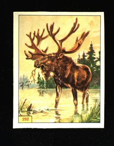 Animali preistorici - preistorici, (1974)