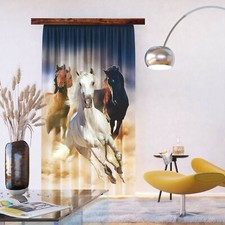Cavalli cavallo tenda finestra - cavallo,