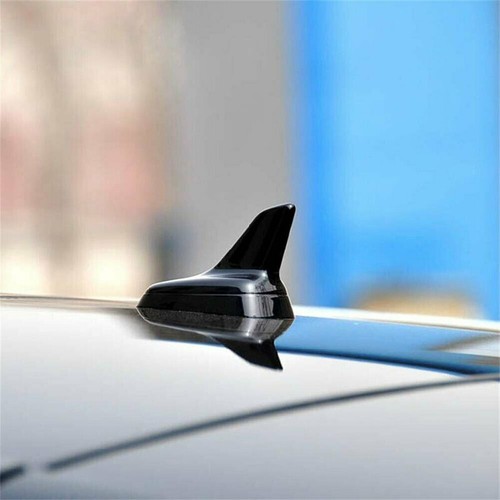 Manichino antenna nero tetto