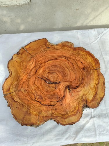Rara lastra legno ulivo - rara,
