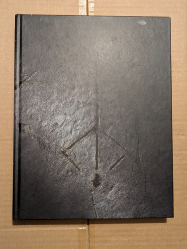 Bloodborne guida strategica - bloodborne,