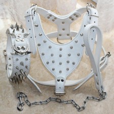 Set guinzaglio catena