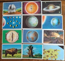 FIGURINE LA TERRA  PANINI