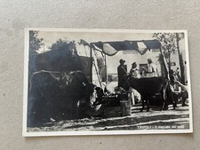 C) Cartolina Colonie Libia Tripoli mercato dei polli 