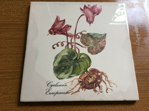 Mattonella decorativa cm15x15