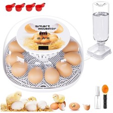 Eco friendly egg incubator - eco-friendly,
