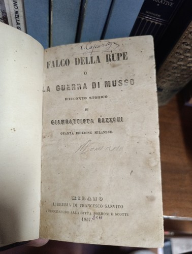 Bazzoni falco della rupe - della,