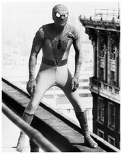 THE AMAZING SPIDER-MAN great