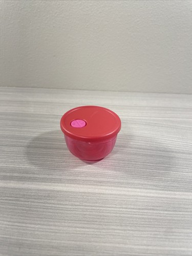 Tupperware miniature rock - tupperware, n
