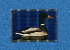 TUTTA ITALIA 1985 -FOL-BO- Figurina-Sticker n. 165 - GERMANO REALE -ANIMALI-New