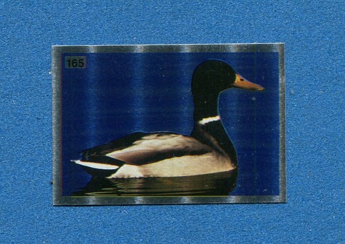 Tutta italia 1985 fol - italia, -fol-bo-