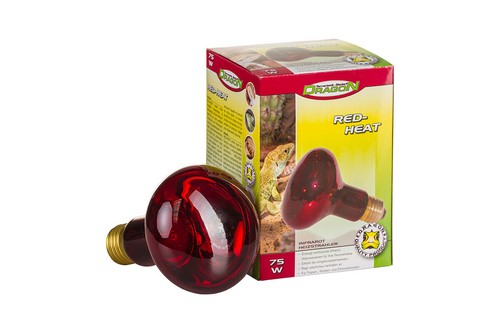 Dragon red heat - dragon,