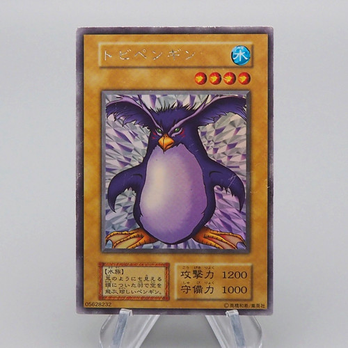 Pinguino volante - pinguino,