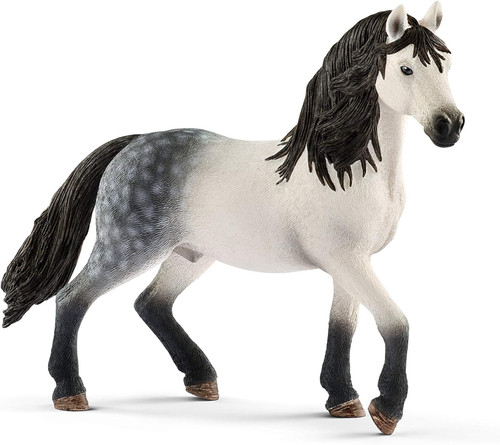 Horse club stallone andaluso - |,