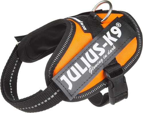Julius 16idc for - julius-k9,, 16idc-for-b2