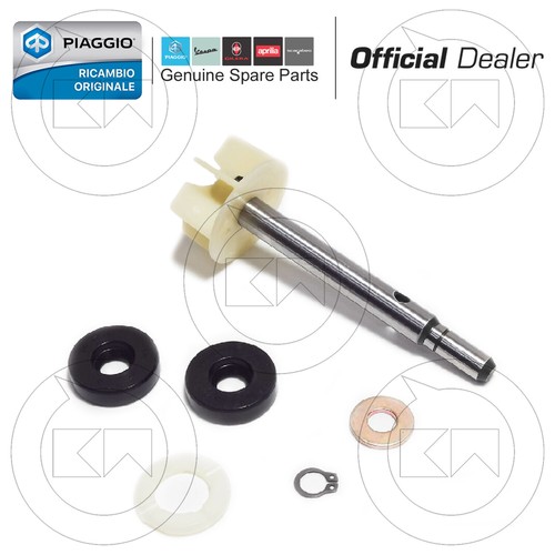 Kit revisione albero pompa - albero,