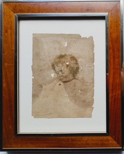 Ritratto nicolaas rubens - di,