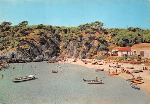 Cartolina isole tremiti - cartolina,
