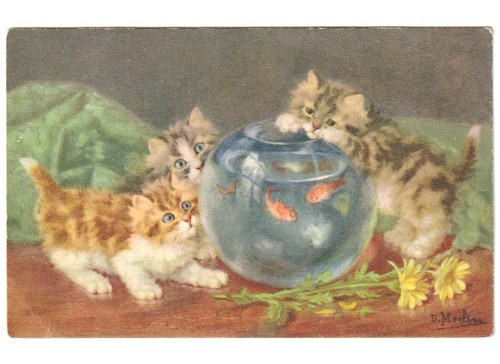 Gatti boccia vetro pesci - vetro,