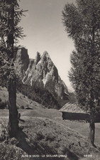 CARTOLINA  ALPE DI SIUSI