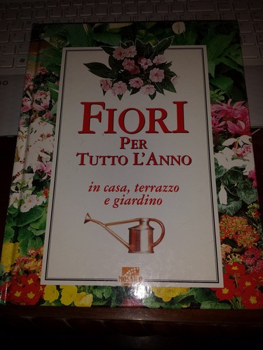 Fiori per tutto - fiori, l'anno