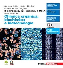 Il carbonio, gli enzimi, il