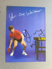 JAN OVE WALDNER campione