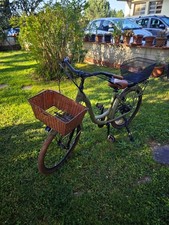 Bicicletta elettrica pedalata - elettrica,