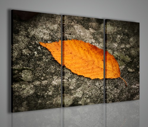 Quadri moderni single leaf - moderni,