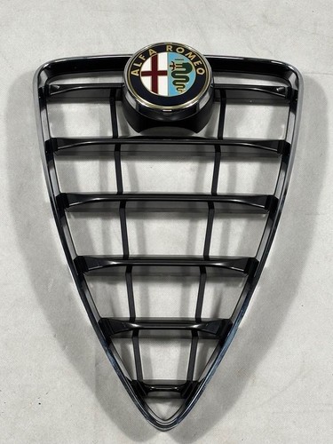 Griglia paraurti radiatore